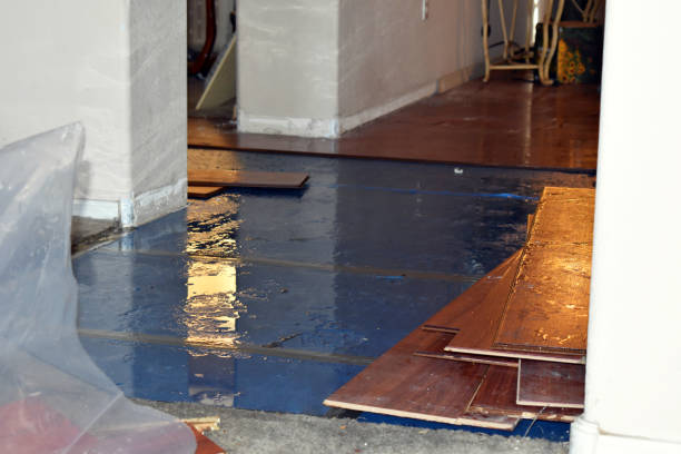 Professional Burst Pipe Cleanup technician working in Braxton, MS